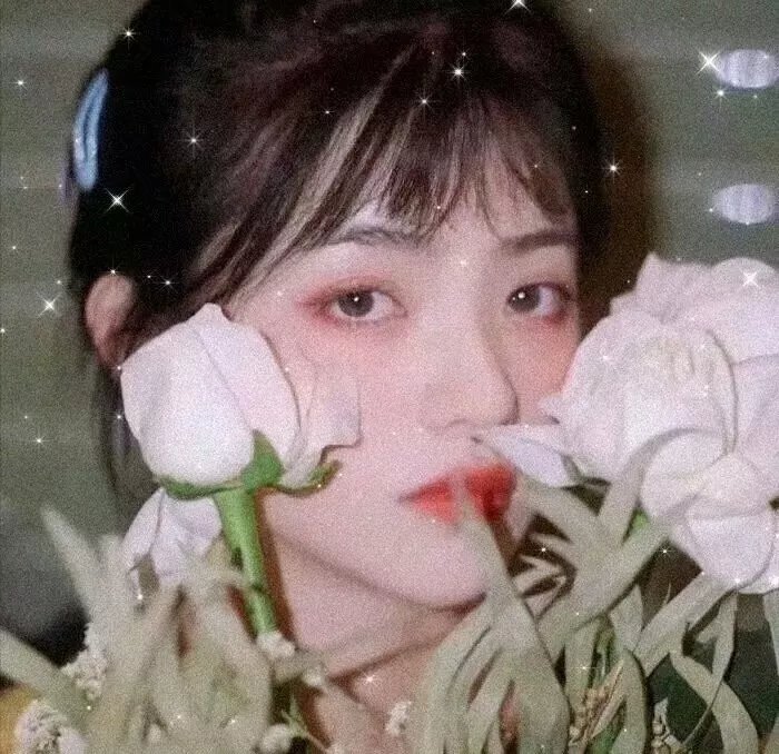 罗宾汉崛起